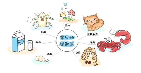 微信截图_20241203145731.png